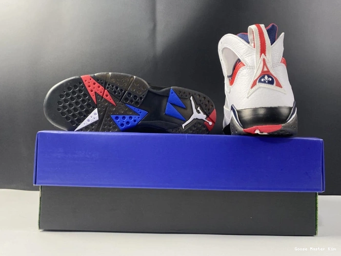 Jordan PSG 7 CZ0789-105 Air 0529